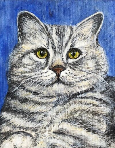 Tabby Cat by Hazel Spink.