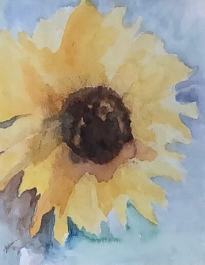 Sunflower by Gillian Gordon