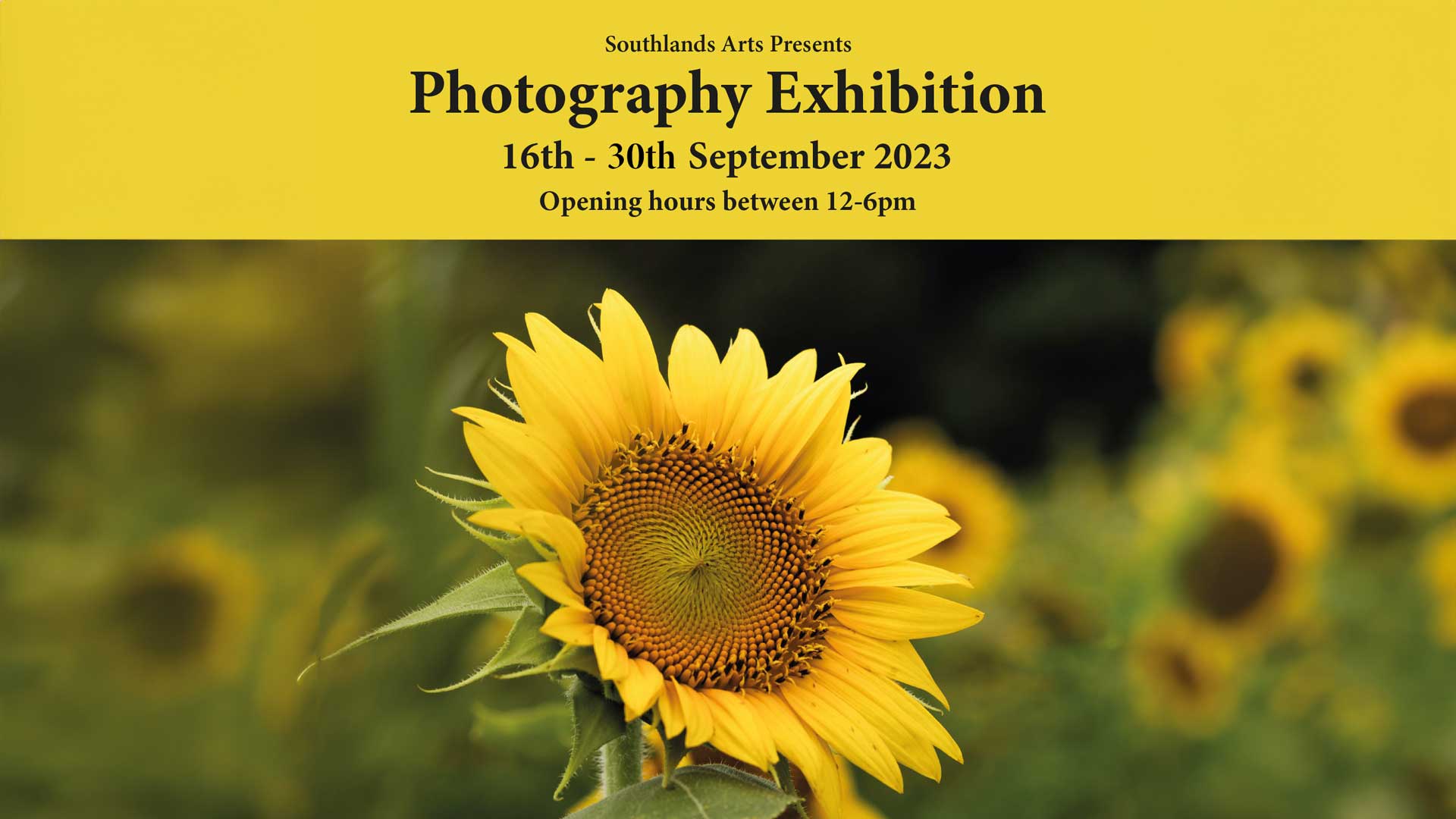 Photo Exhibition 16th - 30th September 2023 Southlands Arts - West Drayton & Yiewsley