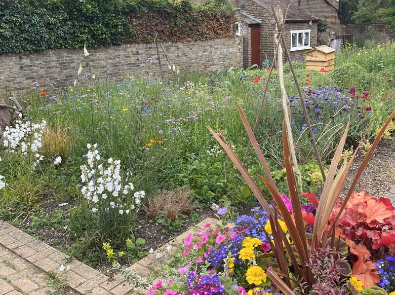 Wildflowers planted